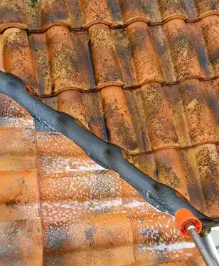 artisan peintre à Challans - image 4