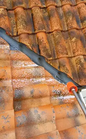 artisan peintre à Saint-Gilles-Croix-de-Vie - image 3